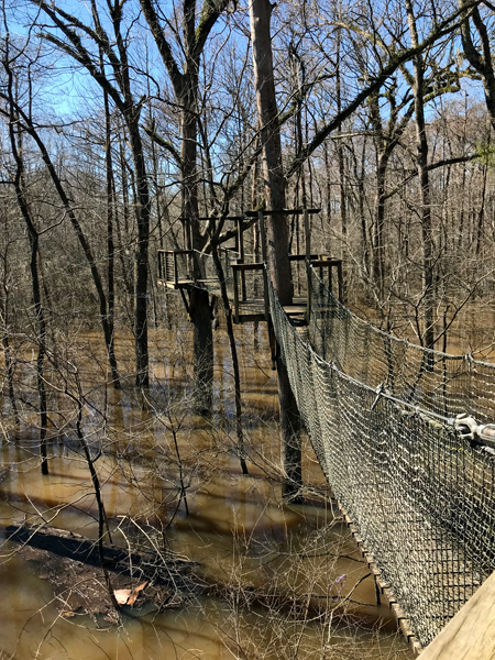 suspension bridge